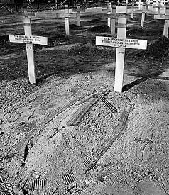 Bougainville Cemetery