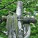 Confederate Cross.