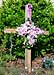 Shirley Memorial Cross.
