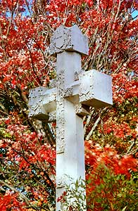 Bolling grave site