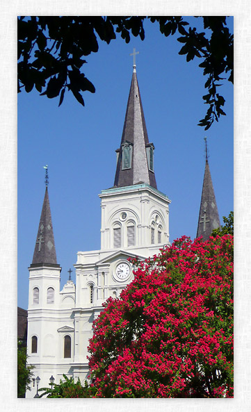 The Cathedral-Basilica of St. Louis King of France.