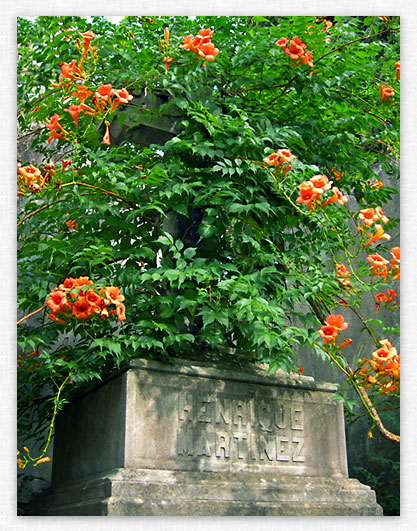 La Recoleta Cemetery photo 4 by Elliot Wright.