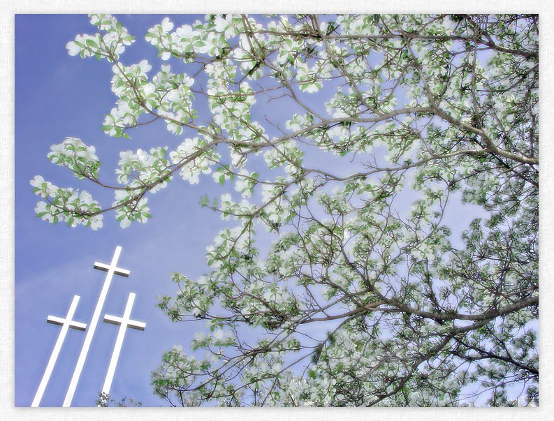 Holy Cross - St. Christopher Episcopal Church Crosses.