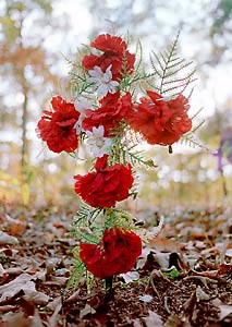 Mooresville, AL Grave Site