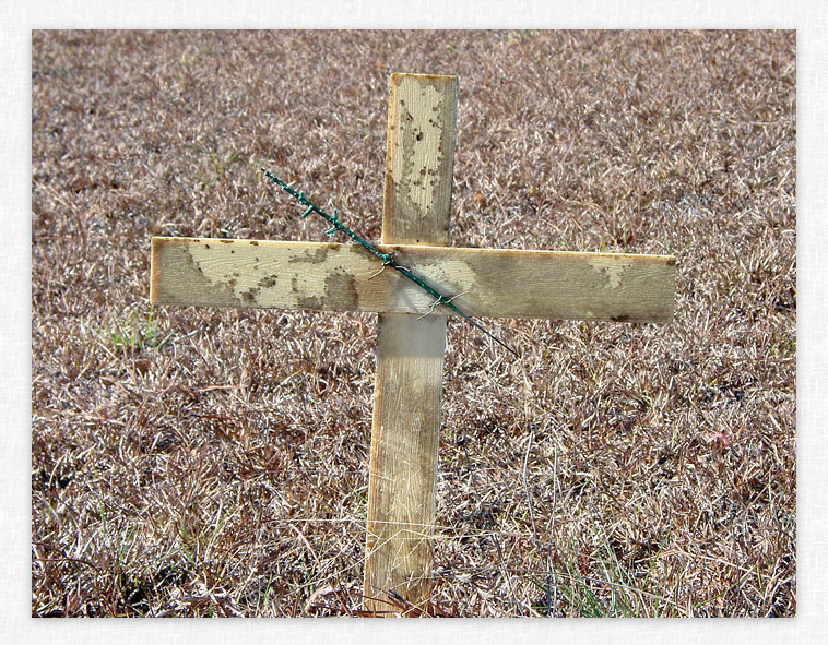 New Hope Cemetery - Dallas, GA.