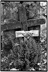 Paris cemetery - photo by Stephane Burlot.