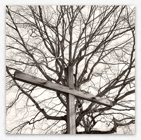 Cross and Tree.