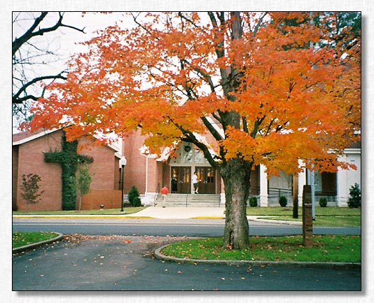 Foliage Cross - photo by Thomas Wright.