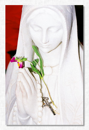 Virgin Mary statue.