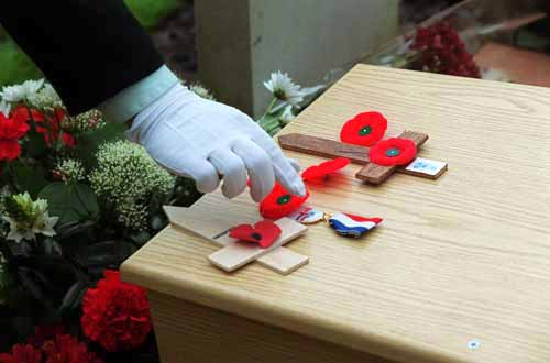 Poppies for the victims of war, The Netherlands - photo by Robert van den Berge.